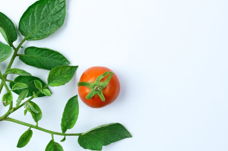 Jak rozpoznać i zwalczać trzy główne choroby atakujące pomidory